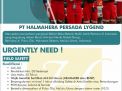 PT Halmahera Persada Lygend Butuh Field Safety