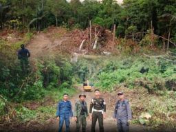 GAKKUM KLHK Menahan Pemodal Perusakan Hutan di Desa Batu