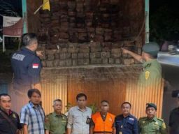 Gakkum KLHK Tangkap Pemodal Pemalsuan Dokumen Kayu Ilegal