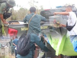 Gakkum KLHK Ungkap Kasus Perdagangan Satwa Dilindungi di Merauke