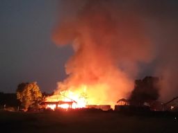 Kebakaran Lagi di Madiun, Puluhan Ribu Ekor Ayam Terpanggang