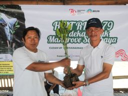 BRUIN Restorasi Kawasan Mangrove Lewat Kampanye Merdeka