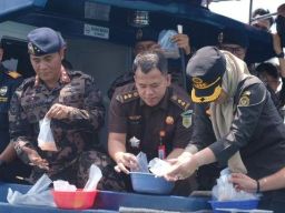 Bea Cukai Batam Gagalkan Upaya Penyelundupan Benih Lobster