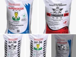 Direktur CV Sawonggaling Nusantara Ditangkap Polda Jatim