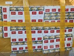 Bea Cukai Cirebon Tindak Ratusan Ribu Rokok Ilegal saat Melintas di Tol Palimanan