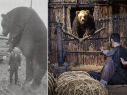 Insiden Mematikan Beruang Sankebetsu (1915)