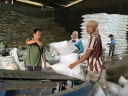 CV Kapulogo Jaya Mandiri Ekspor 26 Ton Kapulaga Senilai Miliaran Rupiah