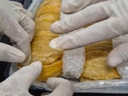 Pasar Kanada Serbu Emas Putih Asal Jawa Tengah