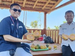 PT Solusi Bangun Indonesia Meresmikan Sekolah Sepak Bola di Tuban