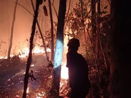 Gunung Bancak Terbakar, Damkar Tak Sanggup Tembus Sasaran