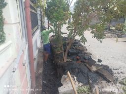 Pekerjaan Normalisasi Saluran Air di Kelurahan Wates Terindikasi Tidak Sesuai Aturan