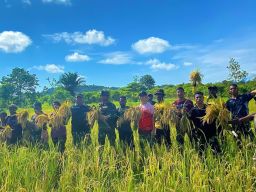 Panen Bersama Wujud Solidaritas antar Masyarakat di Wilayah Perbatasan RI-Papua Nugini