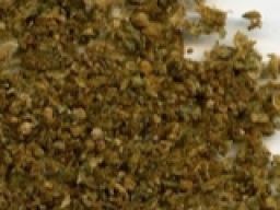 Polres Bukittinggi Tangkap Ketua Lembaga Rehabilitasi Narkoba Karena Konsumsi Ganja