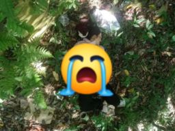 Sosok Wanita Misterius yang Ditemukan Meninggal Dunia di Tahura Wilayah Pacet