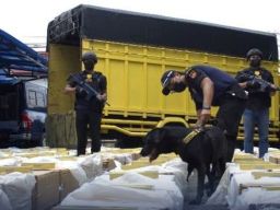 Operasi Gempur 2024 di Wilayah Riau. 17 Juta Batang Rokok Ilegal Diamankan