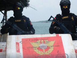 Bea Cukai Gagalkan Penyelundupan 275.000 Benih Lobster Tujuan Malaysia