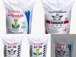 Direktur CV Sawonggaling Nusantara Dituntut 8 Bulan Penjara