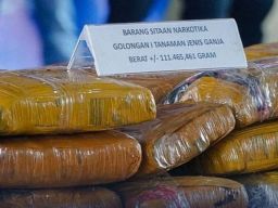 Bea Cukai Musnahkan 110 Kilogram Ganja Hasil Penindakan di Cilegon