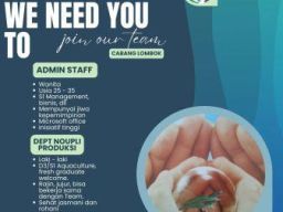 PT Hisenor Technology Indonesia Buka Lowongan Admin Staff