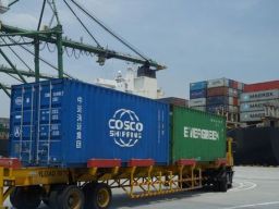 PT Bintan Indo Sejahtera Ekspor Ikan Kerapu Hidup ke Hong Kong