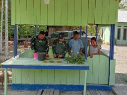 Wadan Satgas Yonif 512 QY Bantu Masyarakat Senggi Panen Pinang