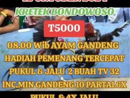Perjudian di Desa Kretek Ditaksir Omzetnya Puluhan Juta Rupiah