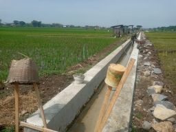 Dana Desa di Desa Kerang Diproyeksikan Penguat Ketahanan Pangan