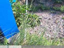 Ukuran Pipa PDAM yang Dipasang CV MT Tidak Sesuai RAB