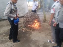 Polsek Tarik Grebek Tempat Judi Sabung Ayam di Desa Klantingsari