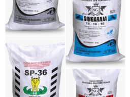 Bos CV Sawonggaling Nusantara Dipenjara 6 Bulan