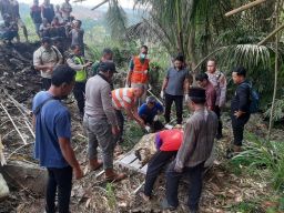 Misteri Ditemukannya Orang Gantung Diri di Pohon Bambu