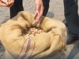 Split Betel Nut Asal Jambi di Ekspor ke Pasar India dan Pakistan