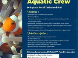 Bali Reef Aquarium Butuh Aquatic Crew