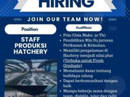 CV Sumber Hatchery Bangka Buka Lowongan Staf Produksi