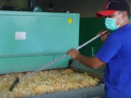 PT Giwang Citra Laut Ekspor 12,5 Ton Ekstrak Rumput Laut ke Spanyol