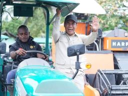 Jadi Petani di Merauke, Matius Pendapatannya Rp 20 Juta Perbulan