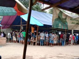 Para Penjudi Sabung Ayam di Kabupaten Jember Seakan Tidak Takut Hukum