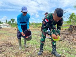 Satgas Yonif QY Kompak bersama Babinsa dan Masyarakat Tanam Jagung