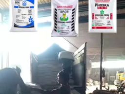 Menteri Pertanian Cabut Izin Edar 4 Perusahaan Pupuk, Ada Godhong Prima