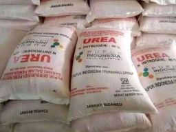 Seorang Warga Desa Karangdowo Diadili Perkara Pupuk Subsidi