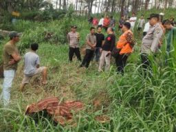 Warga Desa Segawe Dihebohkan Penemuan Mayat di Tengah Kebun