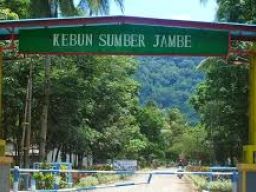 Mencuri Janur Senilai Rp 3 Juta di Area PTPN I, Warga Srono Dipidanakan