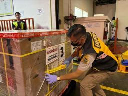 Telur Tetas Asal Bali Dikirim Menuju Uni Emirat Arab