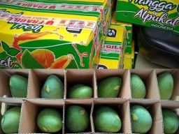 Buah Mangga Asal Malang Diekspor ke Brunei Darussalam