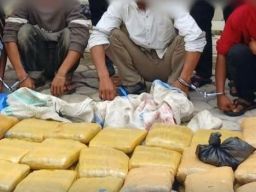 Penyelundupan 54,94 Kilogram Ganja di Bangka Belitung