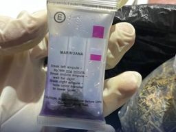 Bea Cukai Merauke Lancarkan Dua Operasi Penindakan Ganja di Perbatasan