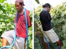 Kisah Sukses Qomaruzzaman, Petani Melon yang Terlahir Tanpa Tangan