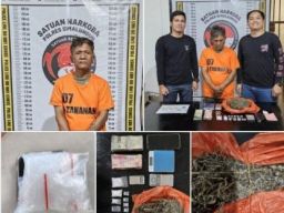 Sat Narkoba Polres Simalungun Ringkus Tumpal Gultom