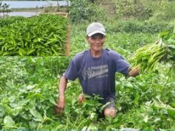 Kisah Slamet Nuryono, Dari Petani Miskin, Kini Jadi Juragan Kangkung