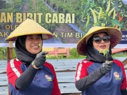 Zona Bakamla Tengah Tanam 10.000 Bibit Cabai